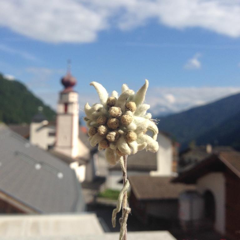 Slingia Zangerlehof 빌라 외부 사진